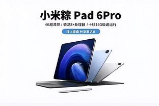 开云app入口网页版